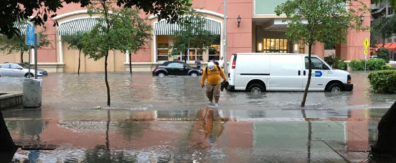 Climate Gentrification