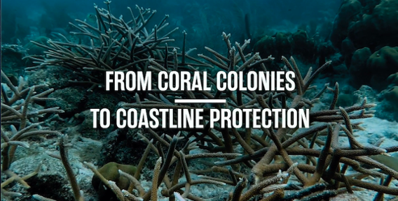 coastal_resilience.png