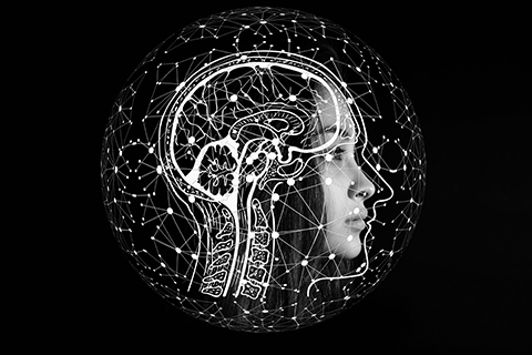 Anti-Bias Training Across the Data-Life Cycle: Project Data Inclusion