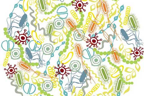 Microbiome